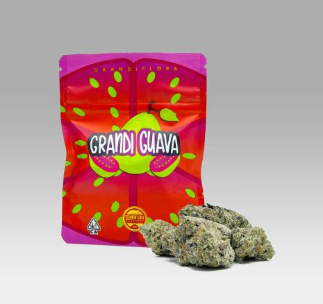 grandi guava strain for sale.